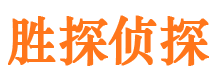 新密侦探公司